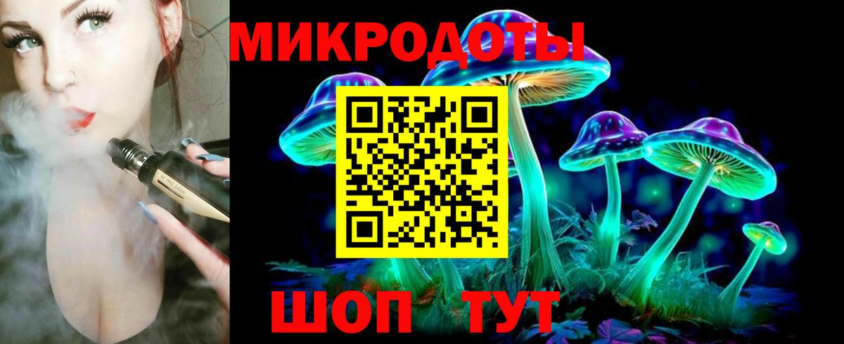 цена наркотик  Вход с VPN  Протвино  Галлюциногенные грибы MAGIC MUSHROOMS  Псилоцибиновые грибы GOLDEN TEACHER 